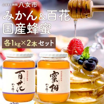 ふるさと納税 八女市 かの蜂の国産はちみつ 2種 2kg(百花蜂蜜1kg、みかん蜂蜜1kg)