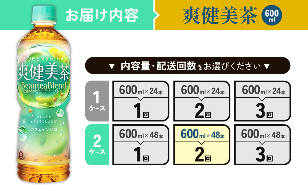 （2回定期便）爽健美茶 600ml PET【コカ・コーラ】ペットボトル 2ケース(48本) 定期便 2回(96本) セット お茶 カフェインゼロ ノンカフェイン ハトムギ ブレンド茶 宮崎県 えびの市 送料無料