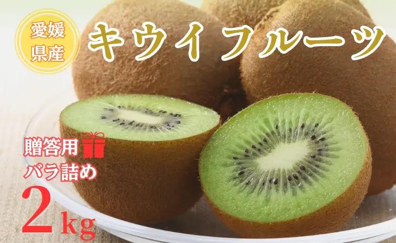 【2026年先行予約】キウイ バラ詰め 2kg 贈答用 農園直送 先行予約【10月中旬から順次発送予定】 キウイフルーツ 愛媛 数量限定 伊予市｜A125