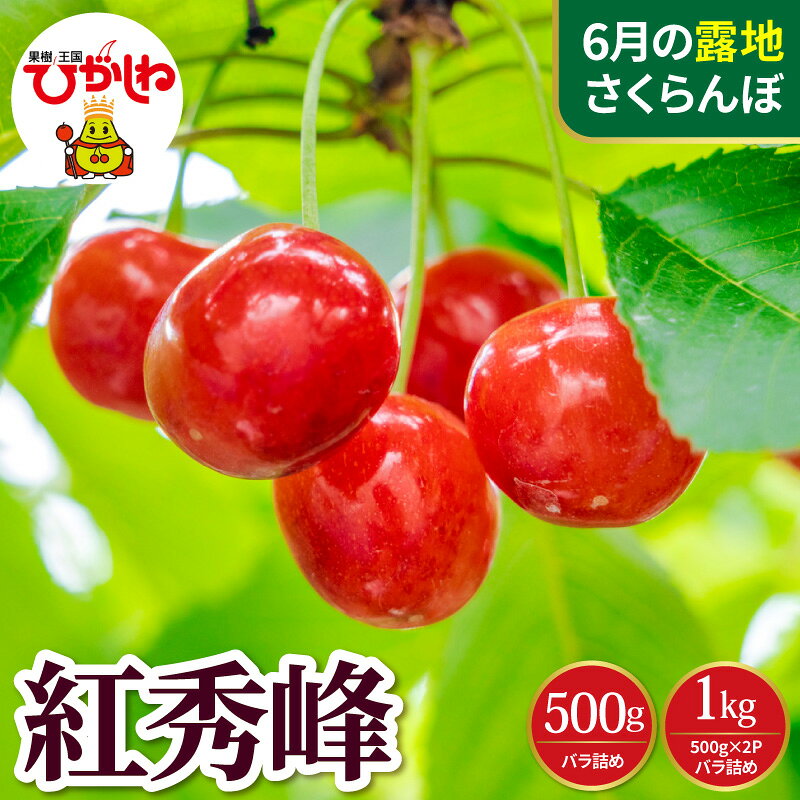 【ふるさと納税】【 2027年産 先行予約 】さくらんぼ 紅秀峰 ( 500g 1kg ) 秀L～2L バラ詰め | フルーツ 果物 くだもの サクランボ チェリー 小分け 箱入り 化粧箱 期間限定 冷蔵配送 大容量 ご当地 特産 産地 お取り寄せグルメ 東北 山形県 東根市