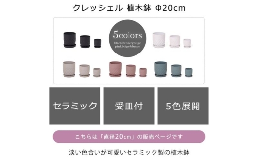 植木鉢 Φ20 crescere クレッシェル グレージュ セラミック フラワーポット プランター 鉢 受け皿 中型 観葉植物 おしゃれ くすみカラー ガーデニング用品 ガーデニング 園芸 インテリア 兵庫 兵庫県 小野市