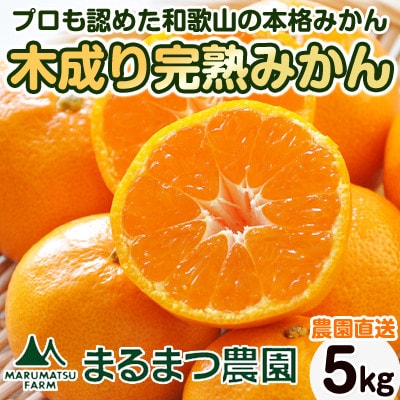 【2026年12月～2027年1月発送】完熟濃厚 木成り温州みかん ミックスサイズ 5kg 和歌山県【配送不可地域：離島】【1544146】