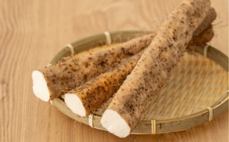 【先行予約・数量限定】小清水の自然薯 カット 800g | じねんじょ 山芋 とろろ 切り芋 切芋[ZB460]