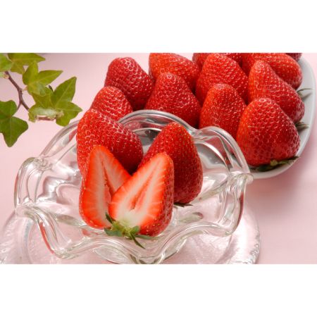 「苺」　香川県オリジナル品種　”さぬきひめ”　11～1月出荷　400g