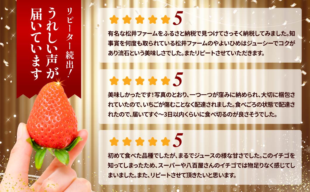 【2026年 先行予約】前橋市産いちご「やよいひめ」贈答用化粧箱入り