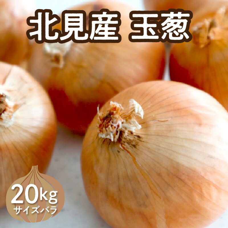 【ふるさと納税】【予約：2026年10月下旬から順次発送】北見産玉ねぎ 20kg ( 機能性玉葱 サイズバラ 玉ねぎ たまねぎ タマネギ 玉葱 オニオン 野菜 北海道 長期貯蔵 )