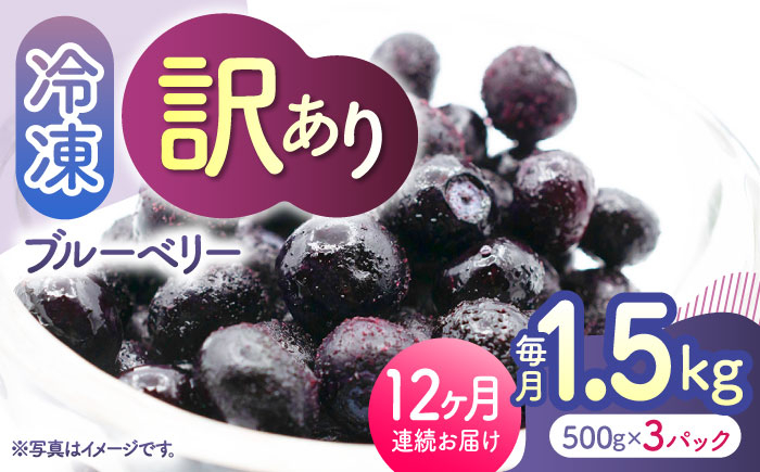 
                  【先行予約】【12回定期便】【先行予約】【訳あり】 冷凍ブルーベリー 小粒 約1.5kg（約500g×3pc） 【先行予約】【すみれファーム】 [ZEP055]
                