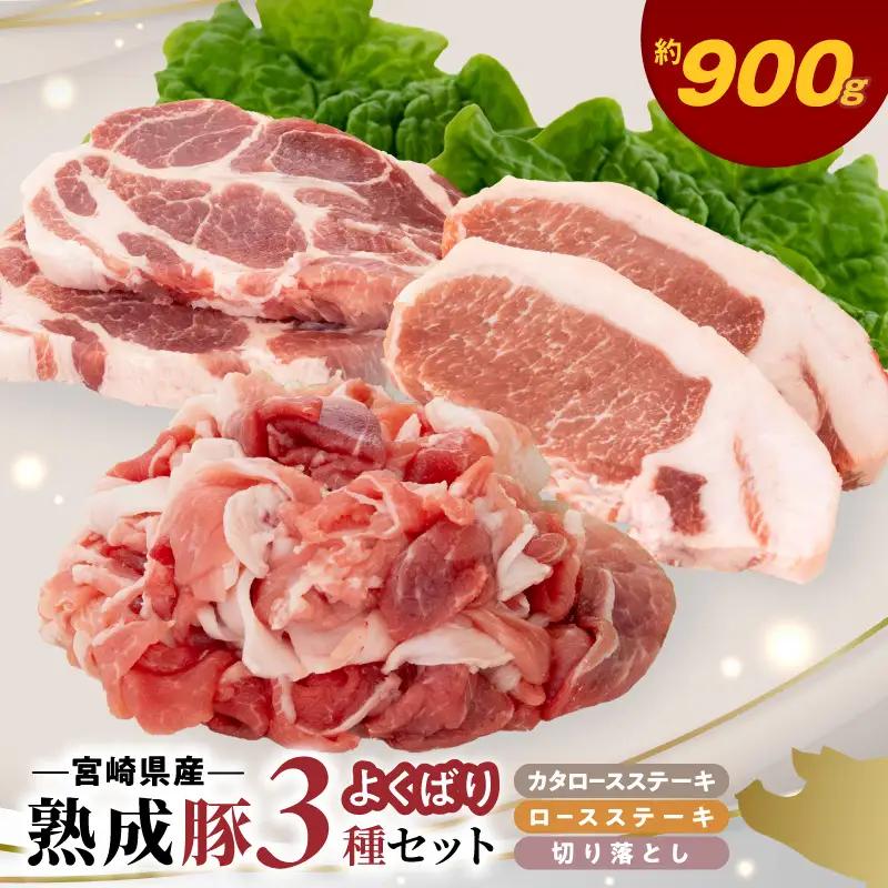 宮崎県産熟成豚 よくばり3種セットB-2（ステーキ2種 各2個/切り落とし2個）N0105-YA6608