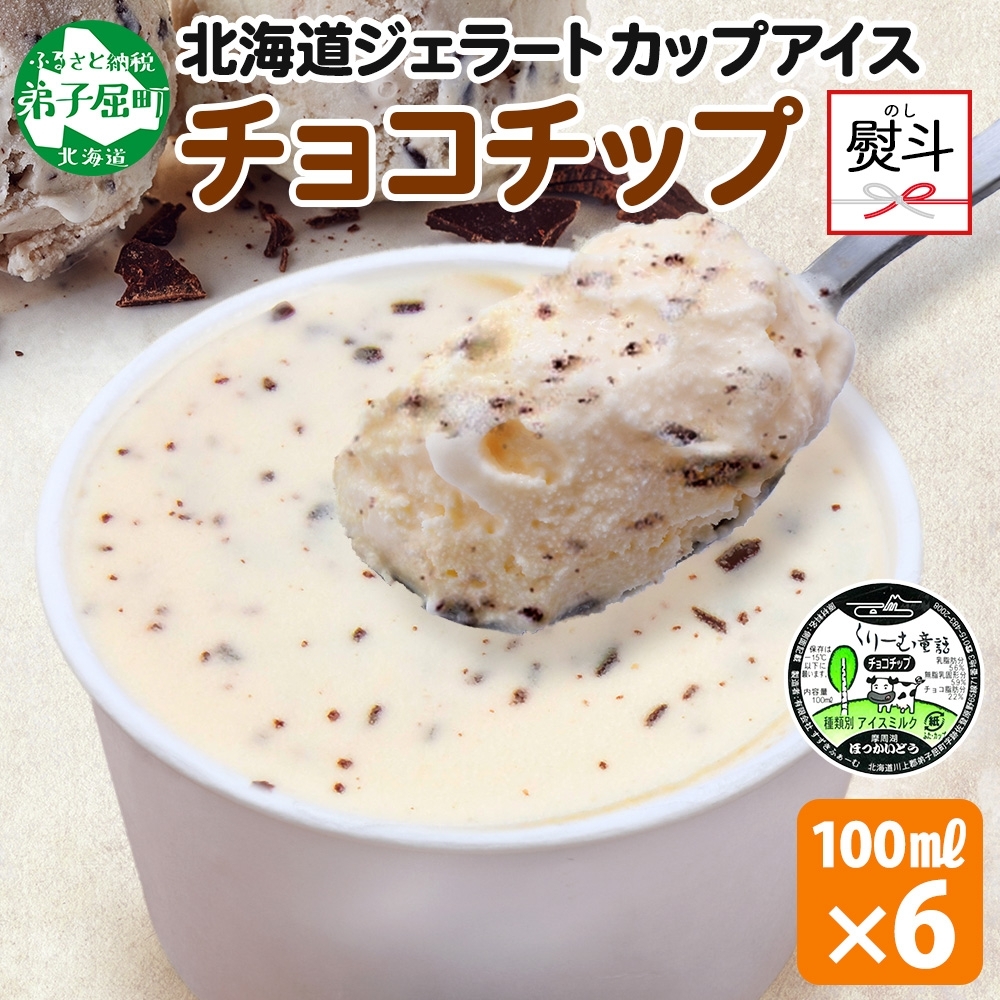 2347. 無地熨斗 くりーむ童話 カップアイス チョコチップ 100ml×6個 アイスクリーム アイス スイーツ 牛乳 ミルク 贈り物 ギフト プレゼント 詰め合わせ 送料無料 北海道 弟子屈町