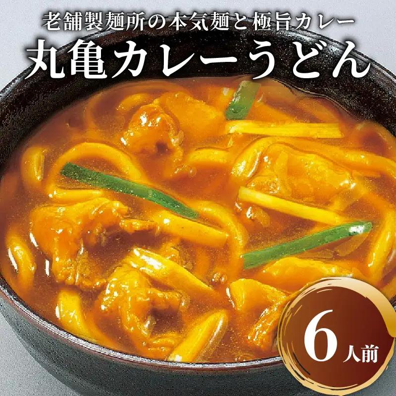 讃岐うどん カレーうどん 6人前 スープ付
