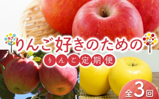 りんご好きのためのりんご定期便（全3回） FSY-2834
