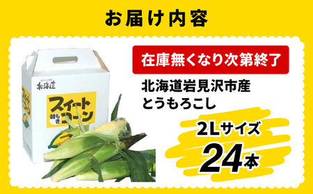 【令和7年度出荷先行予約！】北海道岩見沢市産とうもろこし2Lサイズ24本【11112】