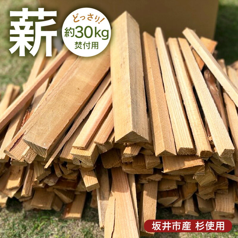 【ふるさと納税】焚付用 杉 薪 針葉樹 （坂井市産杉） 約30kg アウトドアや薪ストーブの焚き付け用に！ 【福井県坂井市産】 【 杉 スギ 薪ストーブ アウトドア キャンプ 焚火 暖炉 石窯 まき 】