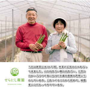 【春芽】グリーンアスパラガス 1kg【先行予約･期間限定】アスパラ 野菜 産地直送 新鮮 世羅【2025年4月上旬以降順次発送】 A039-02