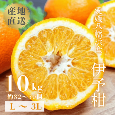 
            国安さんちの伊予柑10kg＜D20-6＞_ みかん ミカン 柑橘 くだもの 果物 フルーツ いよかん 伊予柑 ジューシー 甘い 常温 デザート 産地直送 産直 愛媛 人気 【1094591】
          