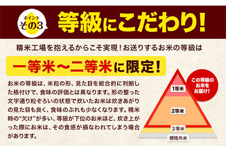 令和5年産 森のくまさん 無洗米 10kg 《7-14営業日以内に出荷予定(土日祝除く)》 5kg×2袋 熊本県産 米 精米 森くま 熊本県 玉東町