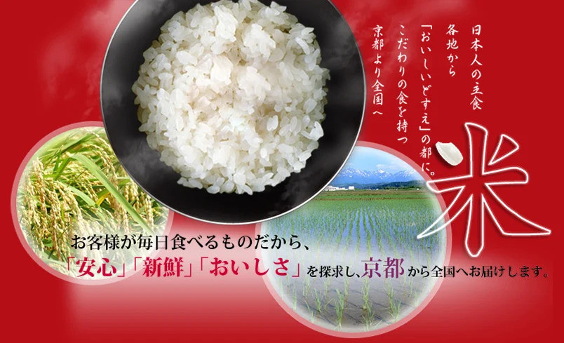 令和7年産 京都丹波産こしひかり 5kg×2 計10kg ※米食味鑑定士厳選 ※精米したてをお届け【京都伏見のお米問屋が精米】※沖縄本島・離島への配送不可 ※2025年11月上旬頃より順次発送予定 | 米 白米 こめ コメ 精米 コシヒカリ ごはん ご飯 お米 こめ おこめ 白米 精米 国産 白飯 ゴハン 米食味鑑定士厳選 送料無料  京都府 京都市