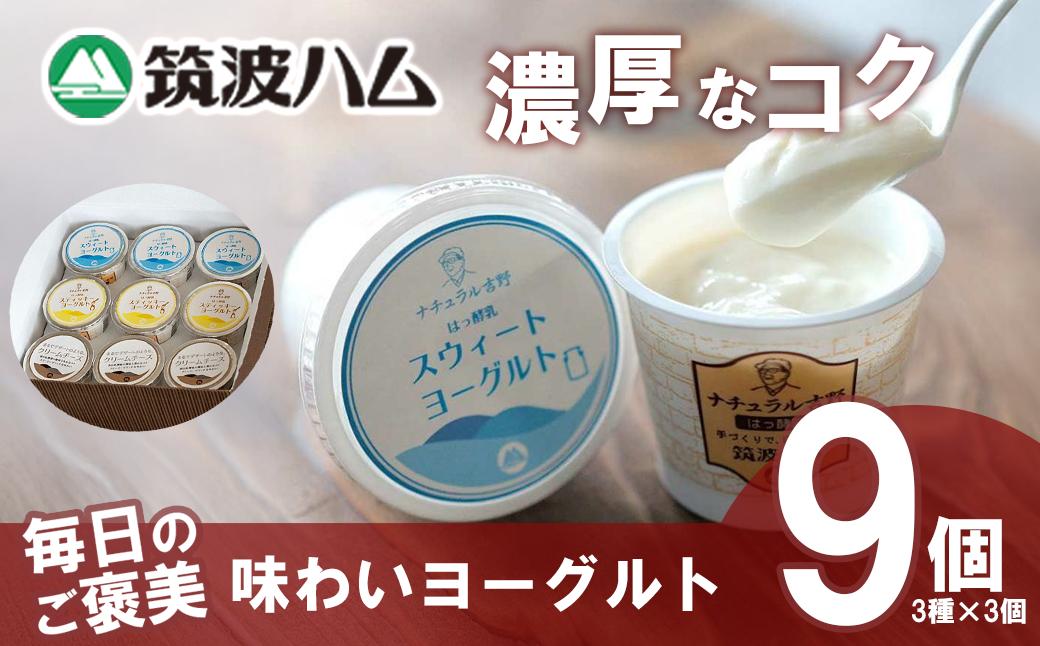 
                  毎日のご褒美 味わい ヨーグルト ギフトセット │ 筑波ハム ヨーグルト クリームチーズ チーズ 贈答 国産 茨城県 つくば市
                