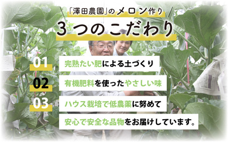 【先行予約】青肉マスクメロン（1.5kg以上 1玉入）味も見た目も抜群！アールスメロン  / あわら 期間限定 果物 フルーツ 産地直送 青肉 人気 ギフト 贈答 ※2024年7月上旬より順次発送 