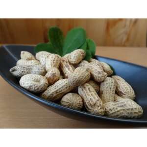 千葉産落花生三種味比べセット(Qなっつ、千葉半立、ナカテユタカ)各250g総重量750g【1360655】