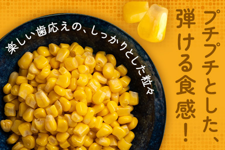 【予約受付】スイートコーン すいーとかよちゃんファームのとうもろこし 10本《2025年1月中旬～5月末順次発送予定》【 沖縄 石垣 野菜 やさい コーン 甘い トウモロコシ コーン 産地直送 】KF