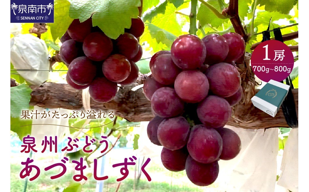 泉州ぶどう あづましずく 1房【065D-009】