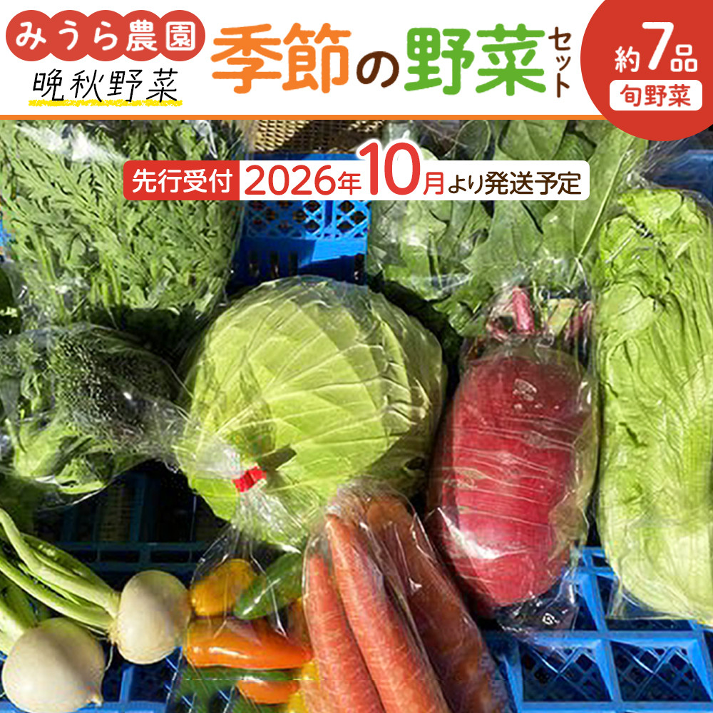【2026年発送分先行予約】みうら農園 季節の野菜セット おまかせ7品（晩秋野菜）【2026年10月下旬頃～順次】