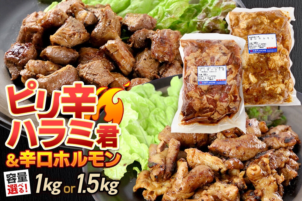 
                  群馬県産 ピリ辛ハラミ君＆もち豚辛口ホルモンセット（500gパック小分け）【選べる容量 約1kg／約1.5kg】豚肉 沼田市 特産品 肉の長門 [モチ もち ブタ ぶた 肉 ほるもん バラエティ 食べ比べ 味比べ]
                