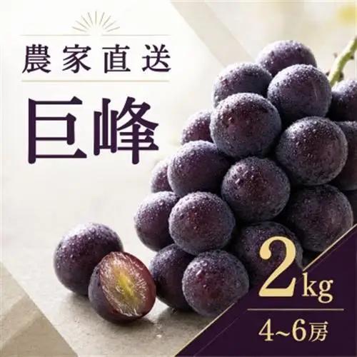 農家直送 巨峰 4～6房 2kg 種あり【2026年発送】茨城県 かすみがうら市【配送不可地域：離島・沖縄県】【1732413】