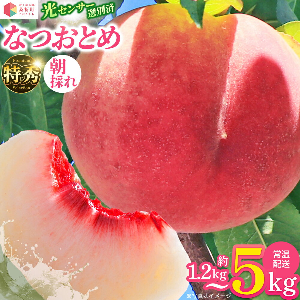 【ふるさと納税】もも【なつおとめ・2026年産】特秀 1.2kg/1.5kg/3kg/5kg 桑折町産 JAふくしま未来 桃 / もも モモ 果物 フルーツ 旬 甘い 甘み ジューシー 果肉 果汁 朝採り 新鮮 フレッシュ デザート 産地直送 福島県 特産品 【07301-0167・0170・0174・0226】