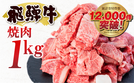 【2週間～発送】 訳あり 飛騨牛 焼き肉用 1㎏ 切り落とし 牛肉 肉 バーベキュー セット 和牛 焼肉 訳アリ 部位おまかせ ウデ バラ モモ肉 25000円 [S201]