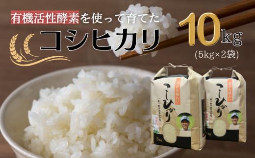【令和7年産】有機活性酵素を使用 新見産コシヒカリ 白米10kg(5kg×2袋)