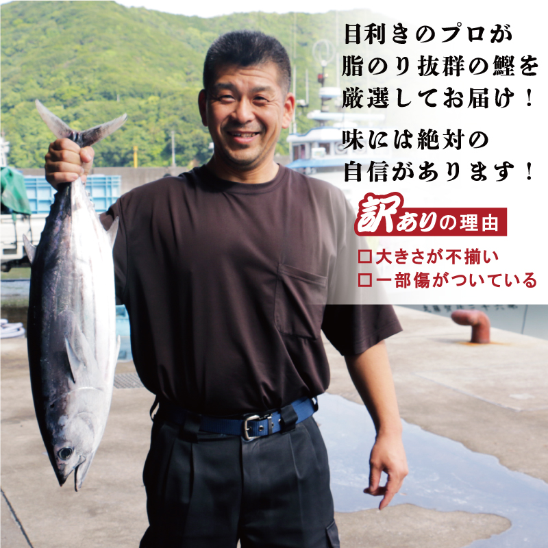 お試し用 訳あり かつおのたたき 400g 以上 5000円 サイズ 不揃い 規格外 試供品 お試し品 少量 ふるさと納税 かつおたたき カツオたたき 鰹たたき 少額 食べ物 旬 お手軽 魚海鮮 魚介