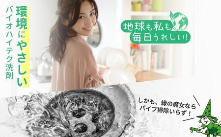 ＜2ヵ月毎定期便(全6回)＞食器用洗剤 緑の魔女キッチン5L×1本 | 台所洗剤 食器 キッチン