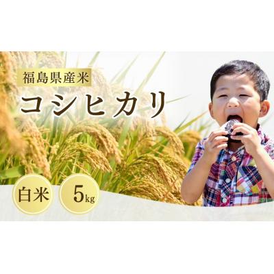 ふるさと納税 南相馬市 先行予約 令和8年産 コシヒカリ 白米 5kg |こしひかり 米 大粒 サムランド cu005-aa