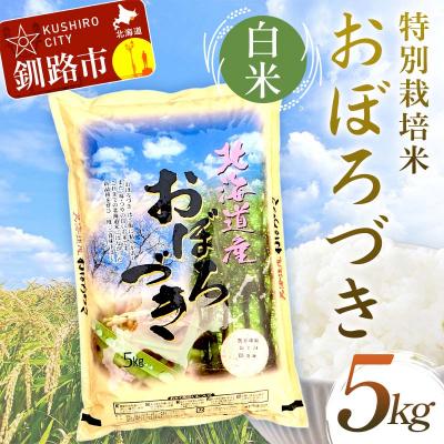 ふるさと納税 釧路市 【令和7年産 】 【新米】 特別栽培米おぼろづき 5kg 白米 F4F-9818