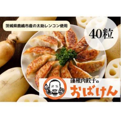 ふるさと納税 鹿嶋市 【お試しサイズ】蓮根肉餃子のおばけん【40粒】