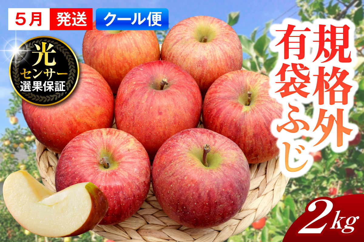 【2026年5月上旬発送】【規格外】 りんご 有袋ふじ 約2kg スマートフレッシュ?貯蔵 または CA貯蔵 【クール便】