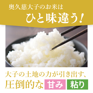 【無農薬米日本一コンテスト2年連続金賞】【谷田部農産】立神米 無農薬 こしひかり（白米）5kg｜茨城県 大子町 コシヒカリ 米 無農薬 コンテスト 受賞 生産者 大子産米 産地直送 令和7年産（BT0