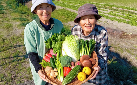 【訳あり】高知県産 土佐季節の野菜詰め合せセット /野菜セット 野菜詰め合わせ 野菜詰合せ やさい 【香稜苑】 [ATBQ001] 訳あり 不揃い 規格外 支援 支援品