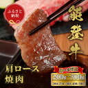 【ふるさと納税】選べる容量【和牛セレブ】能登牛 牛肩ロース 焼肉 （200g〜500g）/［石川県が認定の能登牛］[復興支援] 石川県 能登 穴水町 黒毛和牛 銘柄牛 能登牛 牛肉 アウトドア キャンプ ステーキ ギフト【送料無料】