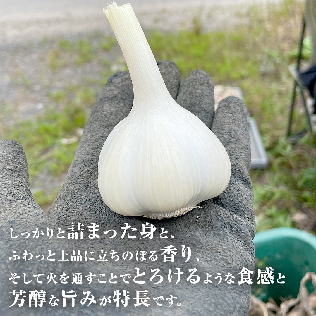 超芳醇 つくばみらいの土が育んだ 最上級ニンニク 500g つくばみらい市 ニンニク 新ニンニク 茨城県産 国産 無化学肥料 農薬不使用 化学肥料不使用 [FA01-NT]_イメージ3