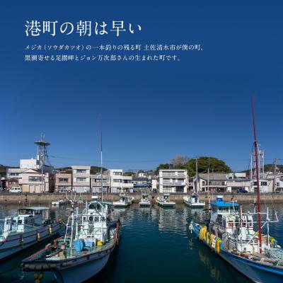 ふるさと納税 土佐清水市 姫かつおスティック 10本 (プレーン) 保存食 災害備蓄 そのまま丸かじり!【R01303】 |  | 03
