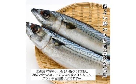 国産鯖の切り身(甘塩) 選べる 15切セット 魚 切り身 さば サバ 国産 冷凍 石川県 小松市 【カネナカ食品工業】