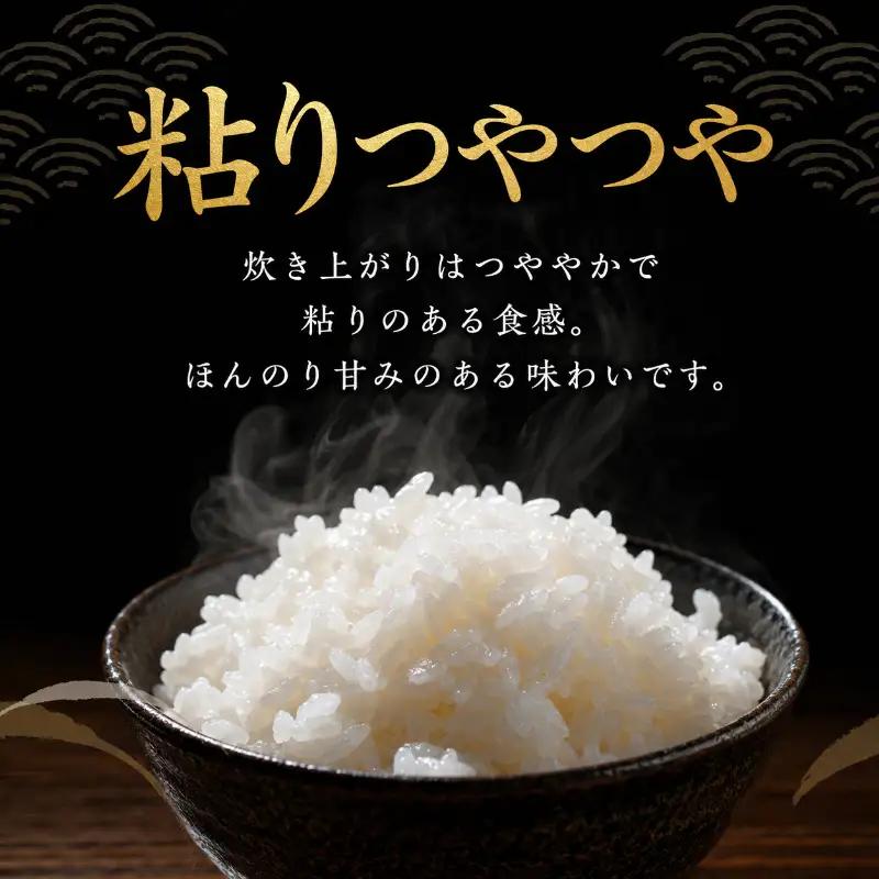 コシヒカリ 無洗米 令和7年 千葉県産 コシヒカリ【10kg×6ヶ月】【定期便】