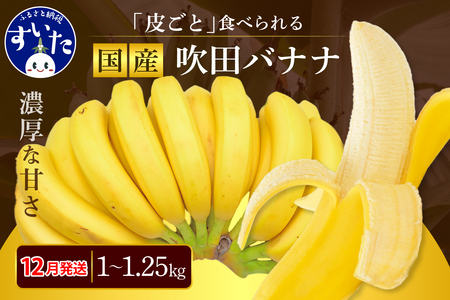 【2024年12月発送】吹田バナナ【大阪府吹田市】〈バナナ 1kg～1.25kg（5 - 12本程度）有機栽培 皮ごと食べられる！極上バナナ  おすすめバナナ 国産 環境へのこだわり 最高級バナナ ス