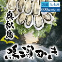 【ふるさと納税】 【2024年12月上旬から順次発送予定】生食用 600g (300g × 2) 宮城県 奥松島産 鳴瀬かき 生食用【到着日指定必須！】牡蠣 かき カキ 生かき むき身 未冷凍 貴重1年もの (牡蠣）オンラインワンストップ 申請 対応 自治体マイページ 宮城県 東松島市