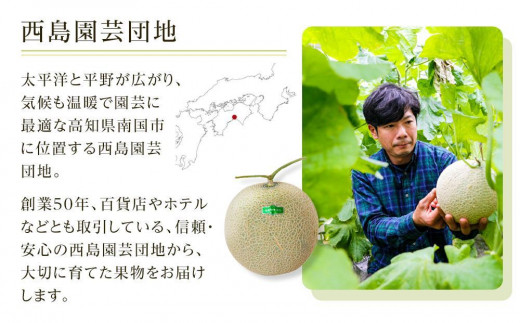 高知県南国市産／厳選桐箱入りマスクメロン（2個）【メロン フルーツ くだもの デザート 高評価 厳選 高級 ギフト 贈り物 人気 おすすめ】【メロン マスクメロン フルーツ 果物 くだもの 食品 デザ