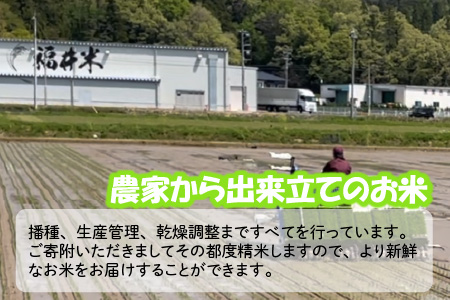 【令和7年産・新米】 【6ヶ月連続お届け定期便】おおかわさんちのコシヒカリ 10kg × 6回 計60kg  [O-10803]