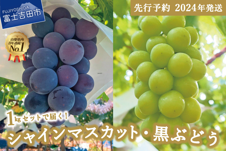 【2025年先行予約】ジューシーで甘さ抜群 シャインマスカットと黒ぶどうセット(約1kg) 山梨県産 ぶどう 果物 フルーツ 旬 高級 2025年 先行予約 山梨 富士吉田 シャイン シャインマスカット ぶどう シャイン フルーツ 果物 黒ぶどう シャインマスカット 先行予約 山梨 シャイン 果物 シャインマスカット フルーツ 旬 シャイン ぶどう シャインマスカット 黒ぶどう ぶどう シャイン フルーツ 先行予約 シャインマスカット 富士吉田 果物 フルーツ 旬 シャイン シャインマスカット